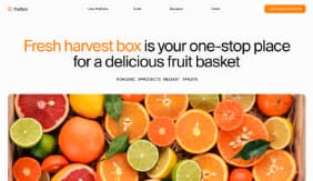 Website - Fresh harvest box